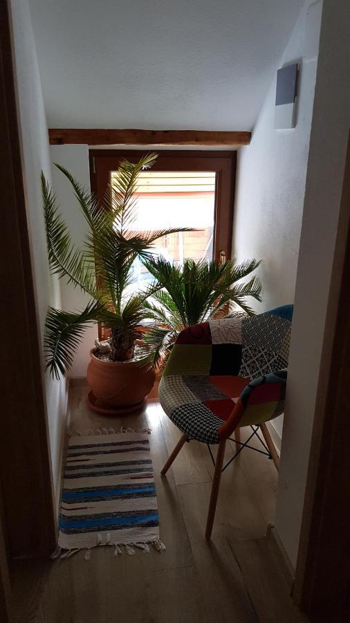 Otto'S Guesthouse Prejmer Eksteriør bilde